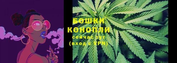 бошки Алексин