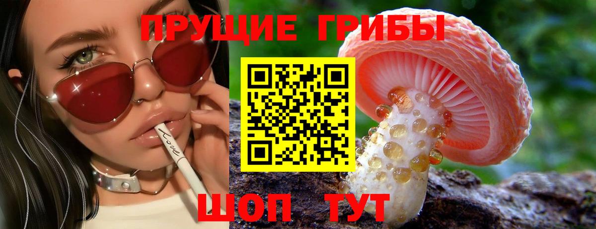 Галлюциногенные грибы ЛСД  Вход с VPN  Псилоцибиновые грибы мухоморы  Карасук 