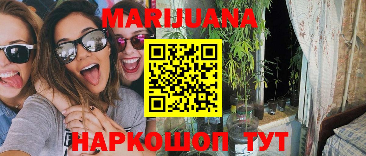 МАРИХУАНА план  Вход с VPN  Бошки Шишки планчик  Канабис MAZAR  Карасук 
